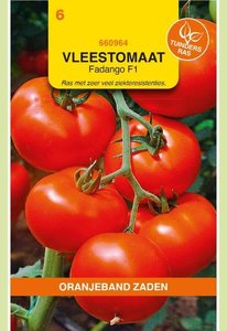 OBZ Tomaten Menhir F1 (wordt Fadango) - afbeelding 1