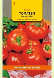 OBZ Tomaten Moneymaker - afbeelding 1