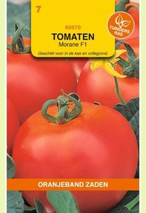OBZ Tomaten Morane F1 - afbeelding 1