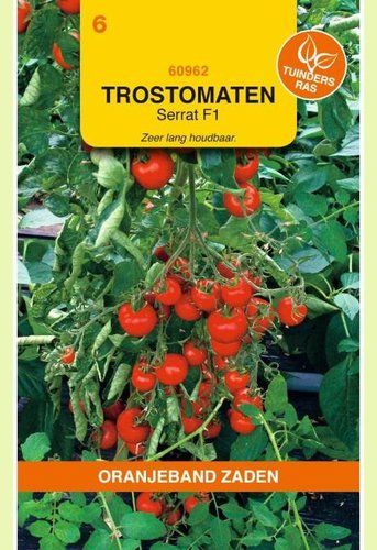 OBZ Tomaten Serrat F1 - afbeelding 1