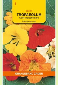 OBZ Tropaeolum, Oost-Indische kers enkelbloemig hoog - afbeelding 1