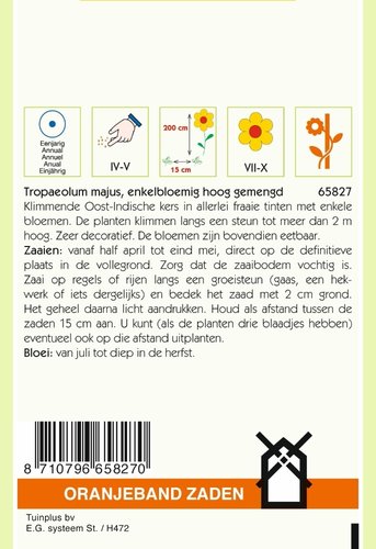 OBZ Tropaeolum, Oost-Indische kers enkelbloemig hoog - afbeelding 2