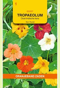 OBZ Tropaeolum, Oost-Indische kers Tom Thumb enkelbl.gemengd - afbeelding 1