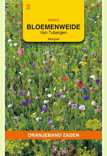 OBZ Van Tubergen bloemenweide mengsel - afbeelding 1