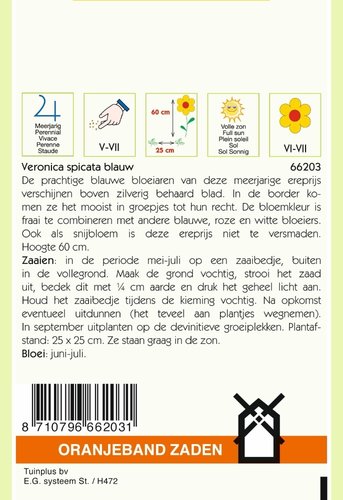 OBZ Veronica, Ereprijs, blauw - afbeelding 2