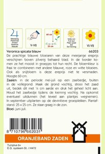 OBZ Veronica, Ereprijs, blauw - afbeelding 2