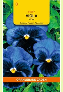OBZ Viola, Viool Alpenmeer - afbeelding 1