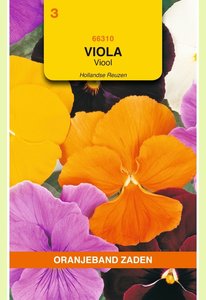 OBZ Viola, Viool Hollandse Reuzen gemengd - afbeelding 1