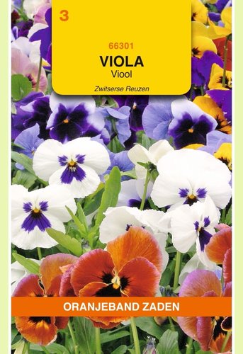OBZ Viola, Viool Zwitserse Reuzen gemengd - afbeelding 1