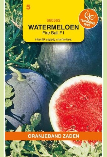 OBZ Watermeloenen Red Star F1 - afbeelding 1