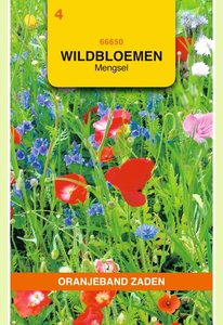 OBZ Wildbloemen mengsel eenjarig - 10 m² - afbeelding 1