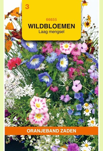 OBZ Wildbloemen mengsel eenjarig, laag - afbeelding 1