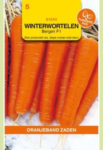 OBZ Winterwortelen Elegance F1 (vh Major) - afbeelding 1