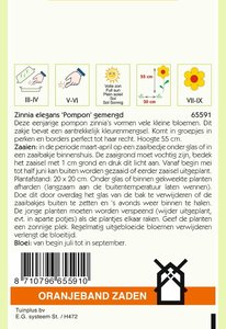 OBZ Zinnia Pompon gemengd - afbeelding 2