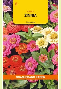 OBZ Zinnia Thumbelina gemengd - afbeelding 1