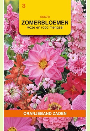 OBZ Zomerbloemen mengsel, roze/rood - afbeelding 1