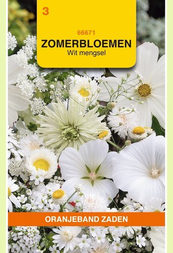 OBZ Zomerbloemen mengsel, wit - afbeelding 1