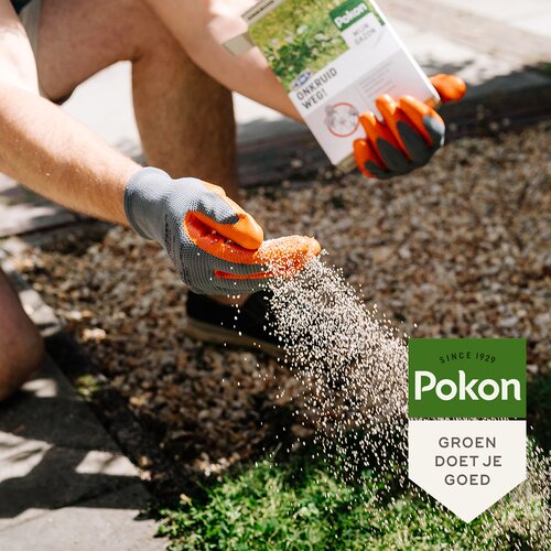 Onkruidweg 250m2 5000gr - afbeelding 4