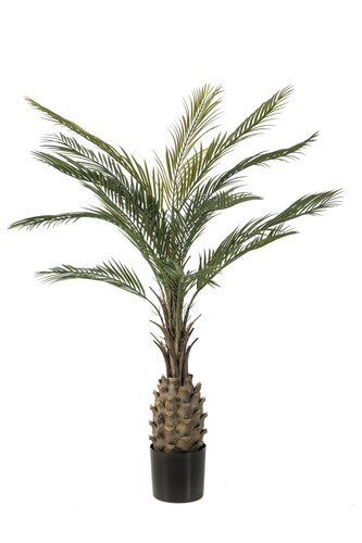 Palm UV Tak Zijde - 150cm