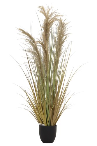 Pampas Kunstplant - H122cm Bruin