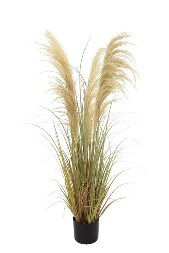 Pampas Kunstplant - H122cm Naturel