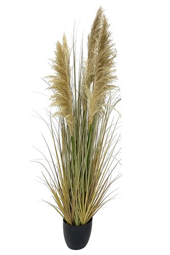 Pampas Kunstplant - H152cm Naturel