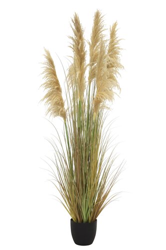 Pampas Kunstplant - H183cm Naturel