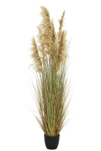 Pampas Kunstplant - H218cm Naturel