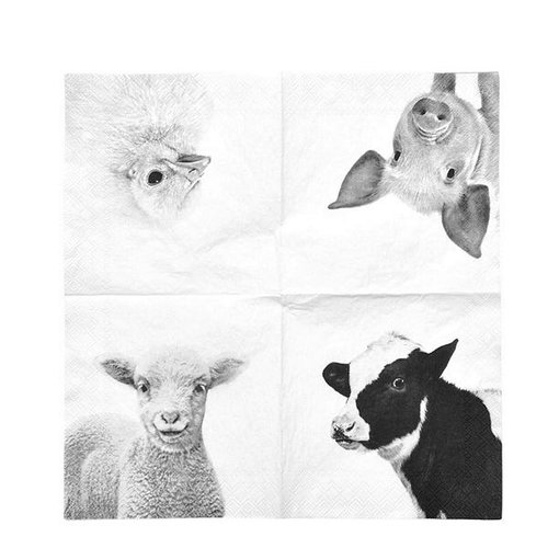 Paper napkins farm animals BW 25x25 cm