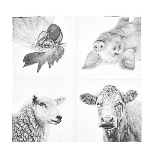 Paper Napkins farm animals BW 33x33cm