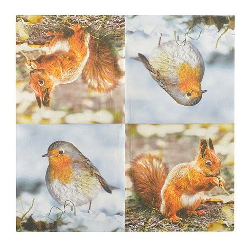 Papier servetten roodborst/eekhoorn