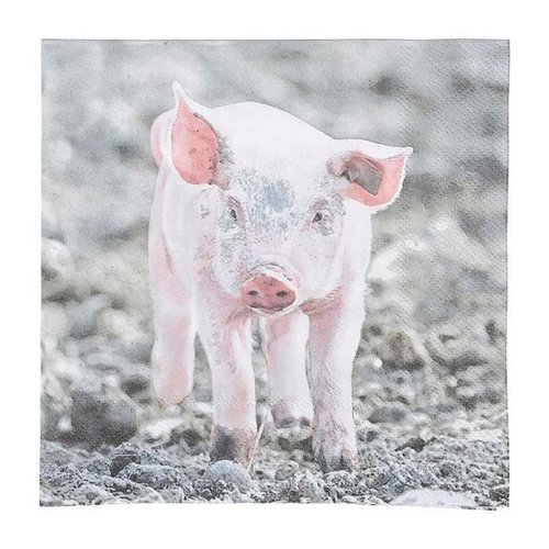 Papieren servetten big 33x33cm