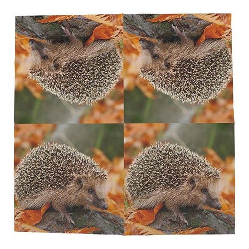 Papieren servetten egels 33x33cm