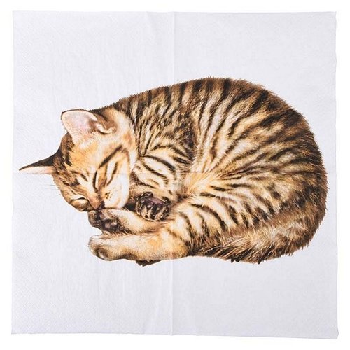 Papieren servetten kat 33x33cm