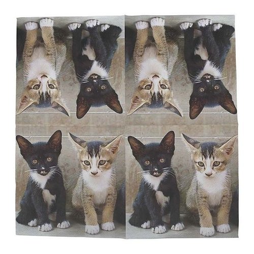 Papieren servetten kittens 33x33cm