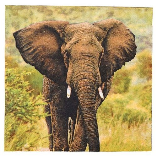 Papieren servetten olifant 33x33cm