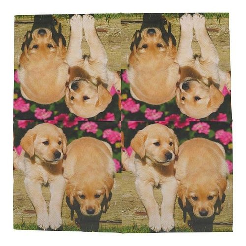 Papieren servetten puppy's 33x33cm