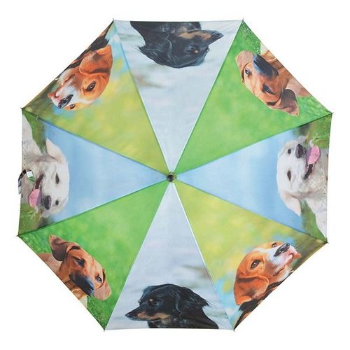 Paraplu honden