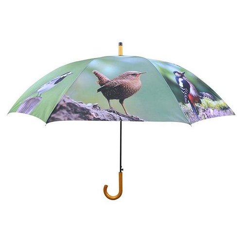 Paraplu vogels