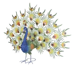 Pauw 107 x 36 x 76 cm