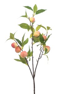Peach spray 85cm