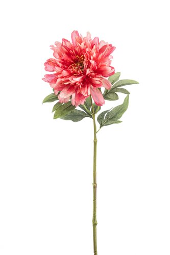 Peony Coral Tak Zijde - 58cm