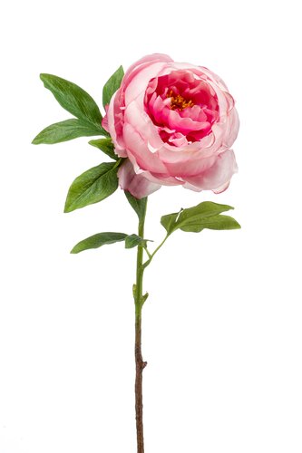 Peony spray pink 63cm