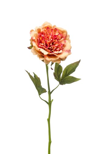 Peony Tak Zijde - 56cm Oranje