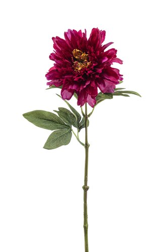 Peony Tak Zijde - 58cm Beauty