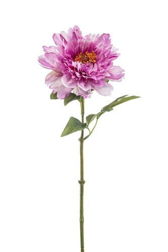 Peony Tak Zijde - 58cm Lila