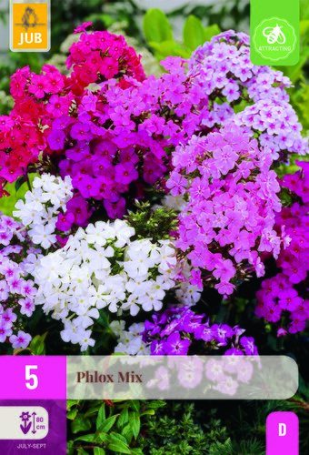 Phlox mix 5st