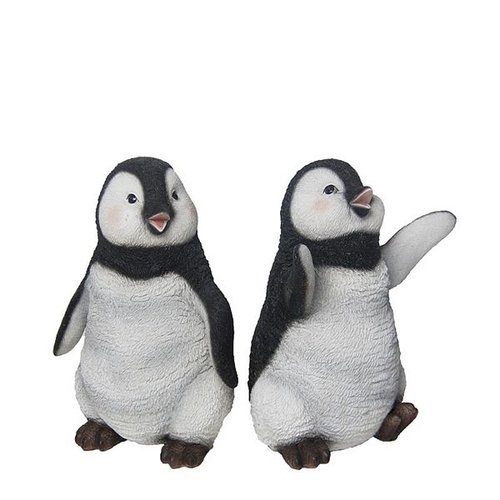 Pinguïn dansend L ass.