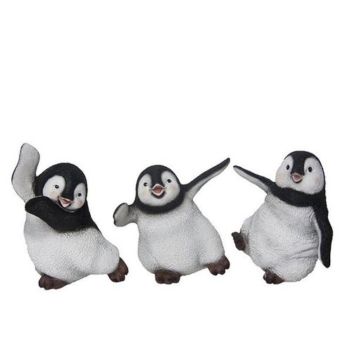 Pinguïn dansend M ass.