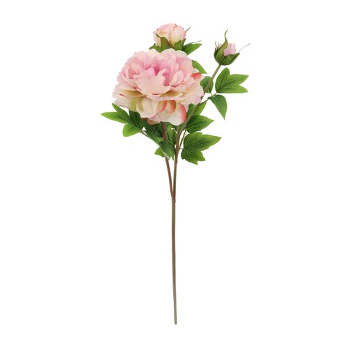 Pioenroos Roze 76 cm